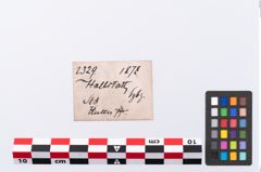 Etikett zu Bronzeanhänger (NHMW-PRAE-002329)